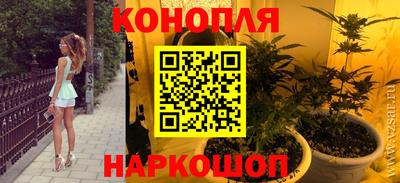 прущие грибы Гусь-Хрустальный