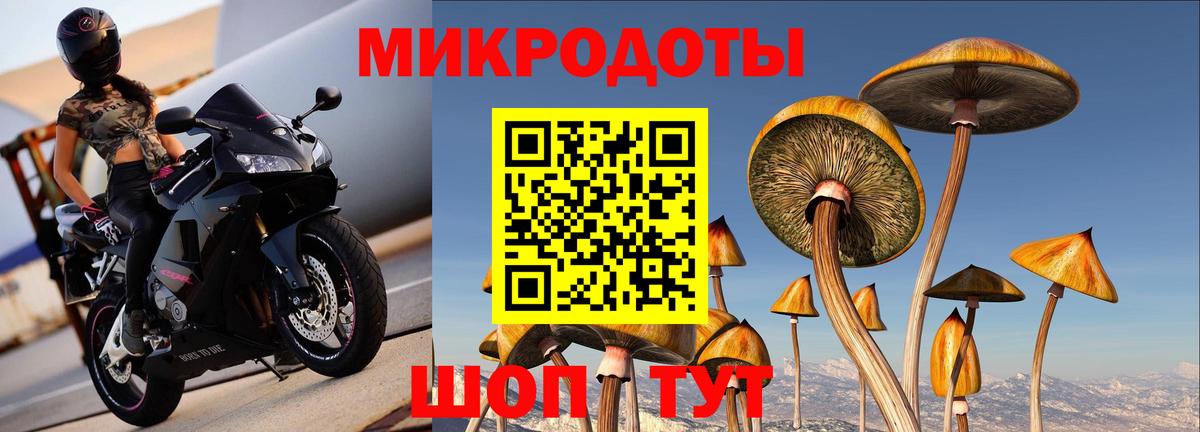 Галлюциногенные грибы ЛСД Шелехов